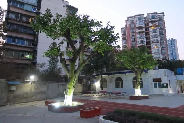 成都市職業(yè)高級(jí)中學(xué)(成都市職業(yè)高級(jí)中學(xué)校)