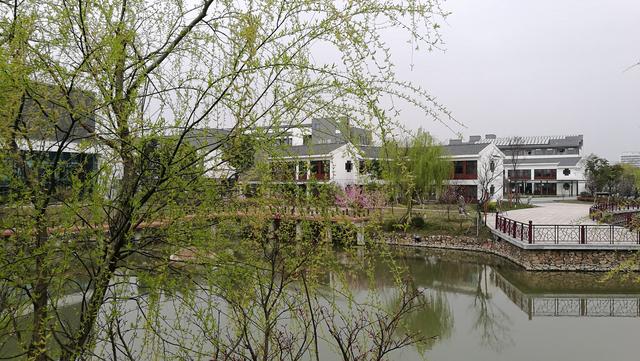 四川幼兒師范高等?？茖W(xué)校(四川幼兒師范高等?？茖W(xué)校分?jǐn)?shù)線)