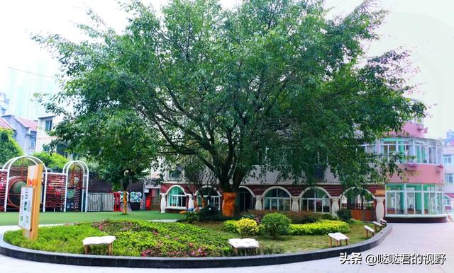 四川省犍為職業(yè)高級中學(xué)(四川省犍為職業(yè)高級中學(xué)官網(wǎng))圖3