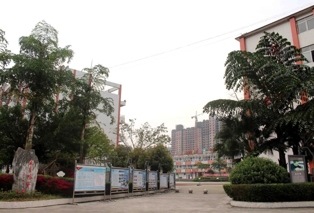樂(lè)山職業(yè)學(xué)校地址(樂(lè)山欣欣藝術(shù)學(xué)校地圖)