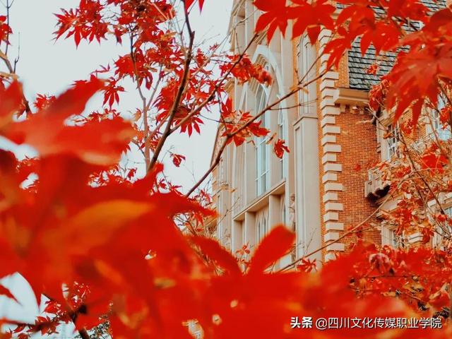 四川市場營銷專業(yè)學(xué)校(研究生市場營銷專業(yè)學(xué)校排名)
