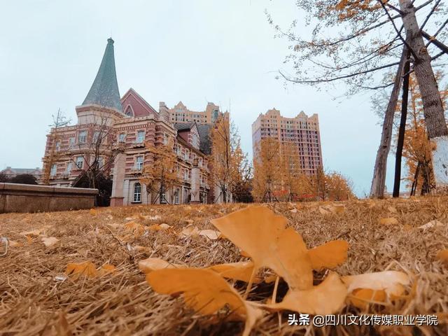 四川市場營銷專業(yè)學(xué)校(研究生市場營銷專業(yè)學(xué)校排名)