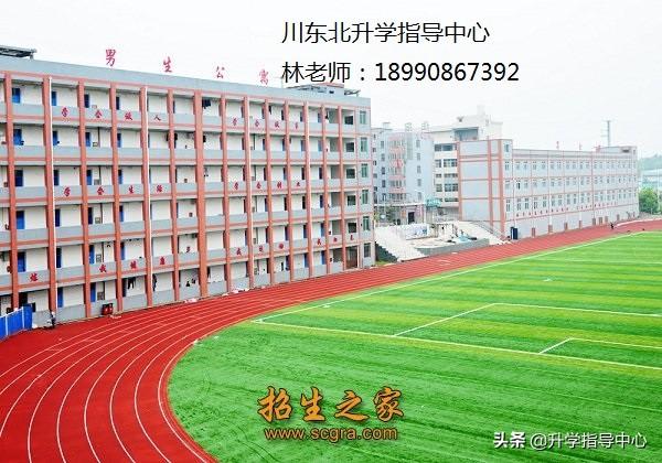 四川省樂(lè)至縣高級(jí)職業(yè)中學(xué)(四川省樂(lè)至縣高級(jí)職業(yè)中學(xué)地址)