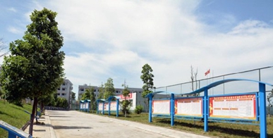 四川省蒼溪縣職業(yè)高級中學(xué)(四川省蒼溪縣職業(yè)高級中學(xué)官網(wǎng))