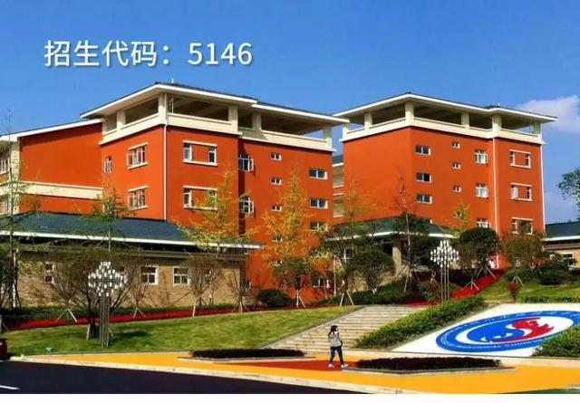 四川有護理專業(yè)的學校有哪些的簡單介紹