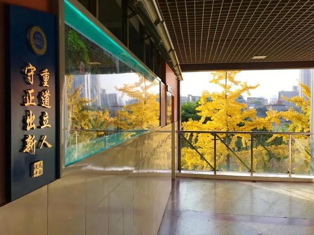 四川鐵路學校好不(四川公辦鐵路職業(yè)學校有哪些)