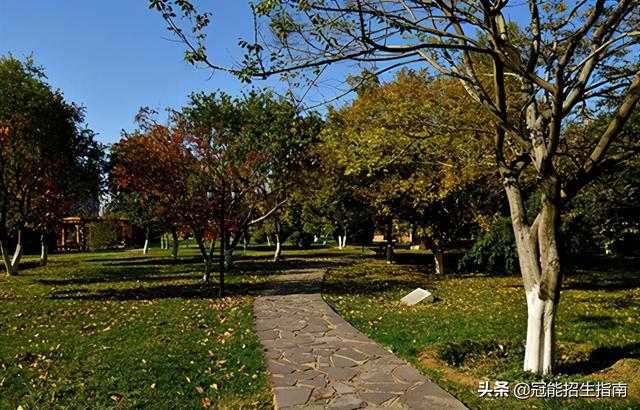 初中上完上什么學(xué)校(初中沒(méi)上完什么學(xué)歷)