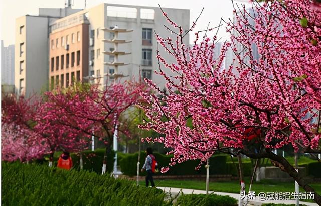 四川專科護(hù)理學(xué)校有哪些的簡單介紹