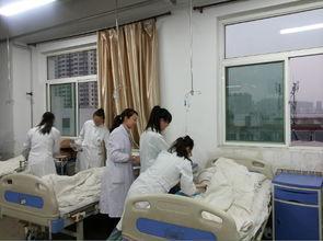 關于四川護理學校學費多少的信息