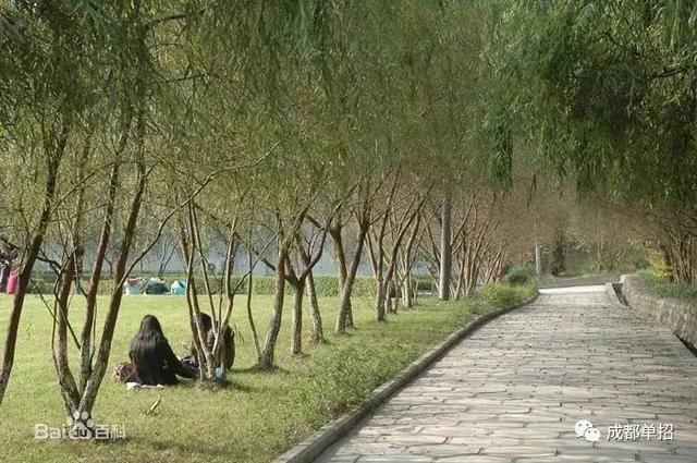 四川幼兒師范學校地址在哪(四川幼兒師范學校單招分數(shù)線)