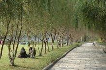 四川幼兒師范高等?？茖W(xué)校(四川幼兒師范高等專科學(xué)校地址)