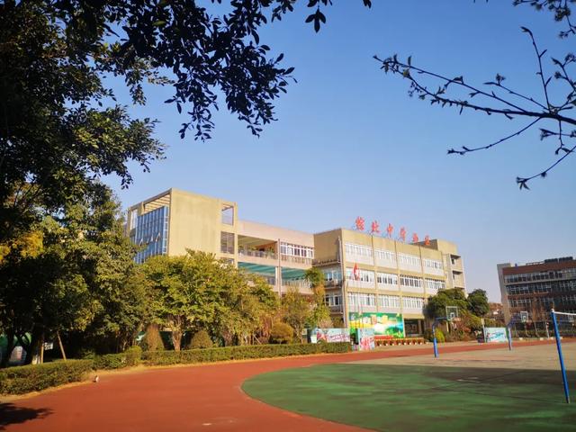 成都公辦學校有哪些(成都單招公辦學校有哪些)