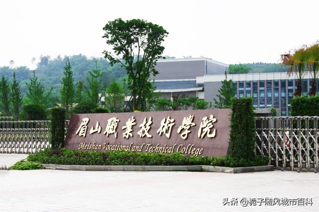 四川眉山科技職業(yè)學(xué)院(四川科技職業(yè)學(xué)院?jiǎn)握胁樵?