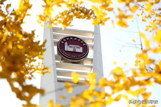 成都職業(yè)技術(shù)學(xué)院?jiǎn)握锌荚噧?nèi)容(成都航空職業(yè)技術(shù)學(xué)院官網(wǎng))