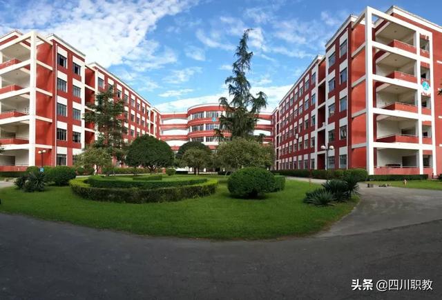 四川托普職業(yè)技術(shù)學校(四川托普職業(yè)技術(shù)學院教務(wù)系統(tǒng))