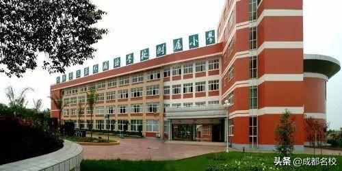 成都最貴的學(xué)校學(xué)費(fèi)一年多少(泡桐樹(shù)小學(xué)學(xué)費(fèi))