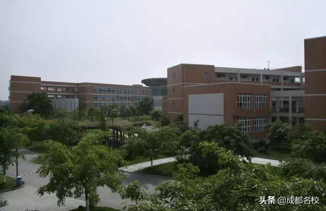 成都最貴的學(xué)校學(xué)費(fèi)一年多少(泡桐樹(shù)小學(xué)學(xué)費(fèi))