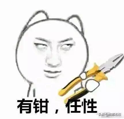 成都最貴的學(xué)校學(xué)費(fèi)一年多少(泡桐樹(shù)小學(xué)學(xué)費(fèi))