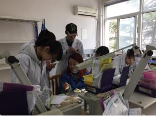 四川較好的鐵路學校(四川最好的鐵路學校是哪一所)