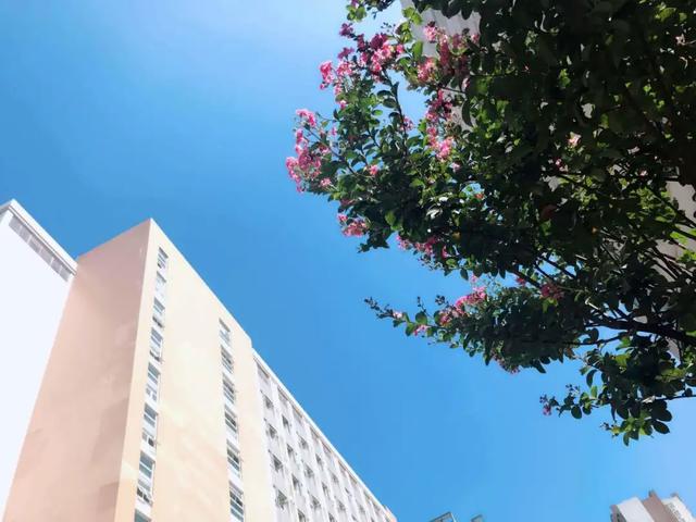 成都職業(yè)航空學校招生簡章(成都航空職業(yè)技術(shù)學校招生簡章)
