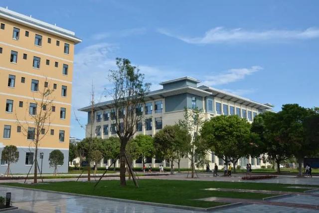 綿陽市電子教育學校(綿陽市電子教育學校歷任校長)