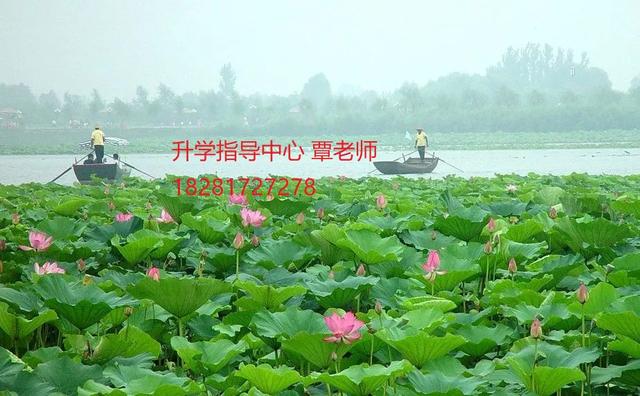 四川省蓬溪縣中等職業(yè)技術(shù)學校(四川省蓬溪縣中等職業(yè)技術(shù)學校招標網(wǎng))